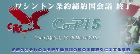 cop15-end.jpeg